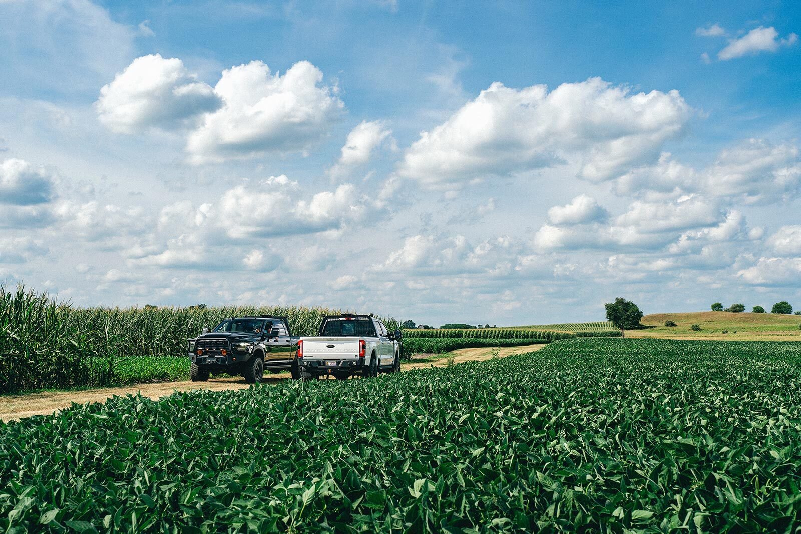 003-AGwagon-081125-Ford-Ram